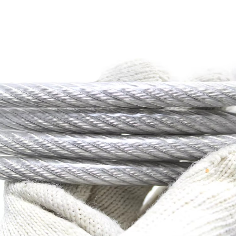 Nylon Coated Wire Rope 7*7 Ss  - Stainless Wire Ss316 avaliação e preço